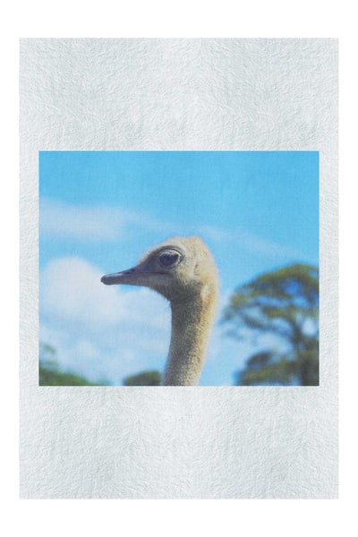 Ostrich Against Blue Sky - Fine Art Print - Wildlife Category