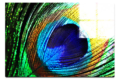 Feathered Jewel - Acrylic Print - Creative Category