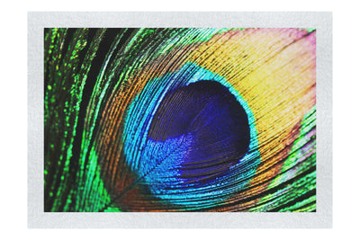 Feathered Jewel - Fine Art Print - Creative Category