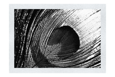 Feathered Jewel - Monochrome Fine Art Print - Creative Category