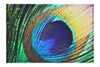 Feathered Jewel - Canvas Print - Creative Category