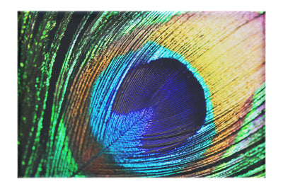 Feathered Jewel - Canvas Print - Creative Category