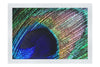 Nature's Kaleidoscope - Fine Art Print - Creative Category