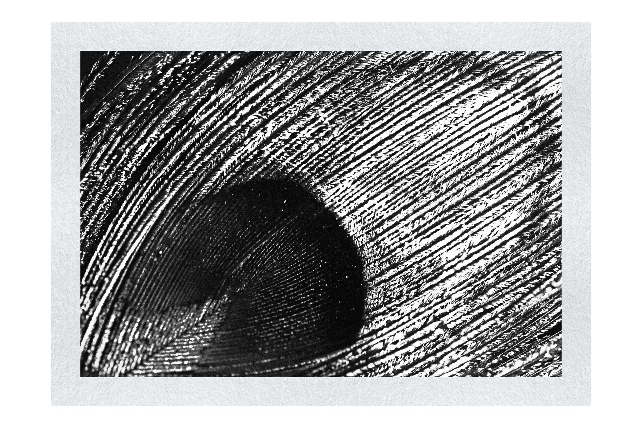 Nature's Kaleidoscope - Monochrome Fine Art Print - Creative Category