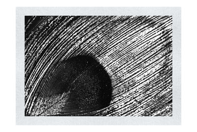 Nature's Kaleidoscope - Monochrome Fine Art Print - Creative Category