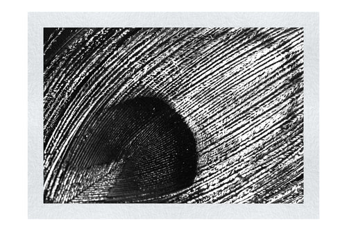 Nature's Kaleidoscope - Monochrome Fine Art Print - Creative Category