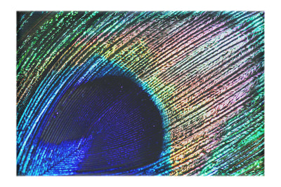 Nature's Kaleidoscope - Canvas Print - Creative Category