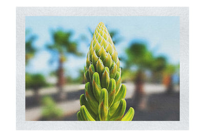Succulent Spire - Fine Art Print - Flowers & Plants Category