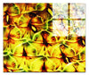 Golden Geometry: Pineapple Macro - Acrylic Print - Abstract Category