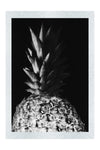Pineapple Noir- Monochrome Fine Art Print - Food Art Category