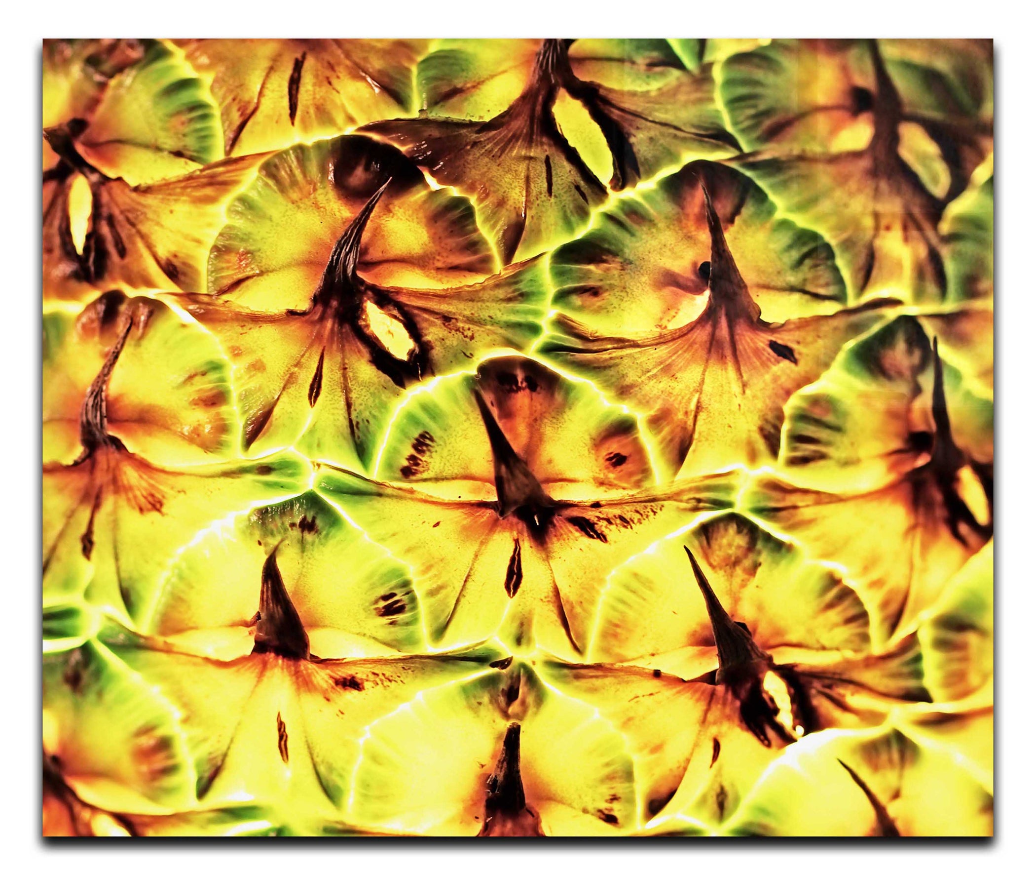 Golden Geometry: Pineapple Macro - Acrylic Print - Abstract Category