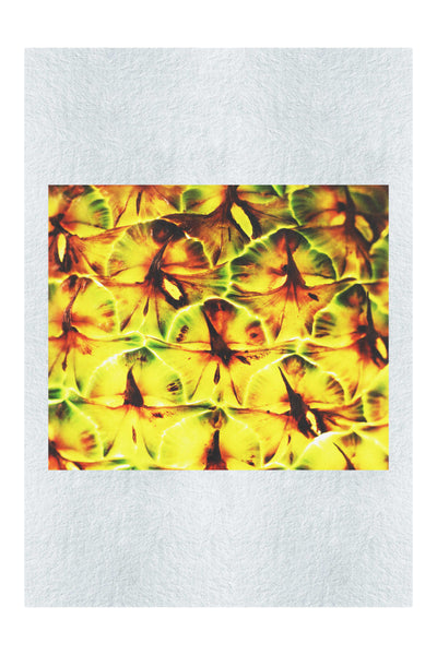 Golden Geometry: Pineapple Macro - Fine Art Print - Abstract Category