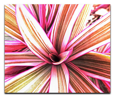 Tropical Glow - Acrylic Print - Flowers & Plants Category