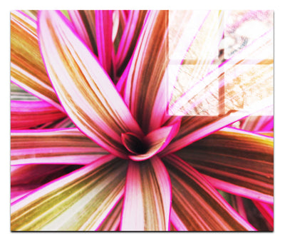 Tropical Glow - Acrylic Print - Flowers & Plants Category