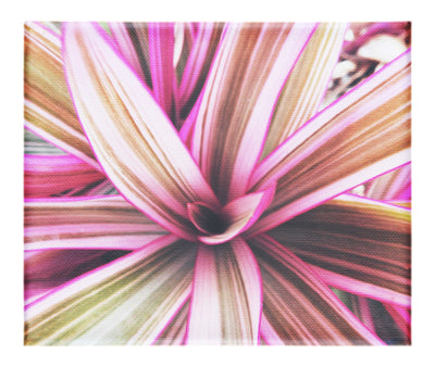 Tropical Glow - Canvas Print - Abstract Category