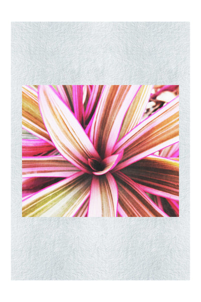 Tropical Glow - Fine Art Print - Abstract Category