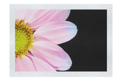 Delicate Daisy - Fine Art Print - Flowers & Plants Category