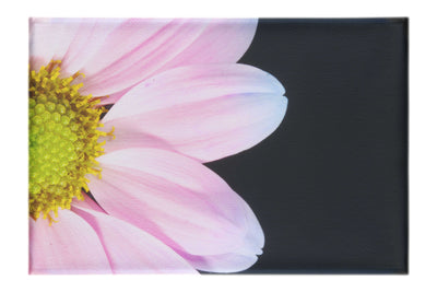 Delicate Daisy - Canvas Print - Flowers & Plants Category