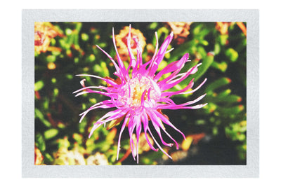 Fireworks in Bloom - Fine Art Print - Flowers & Plants Category