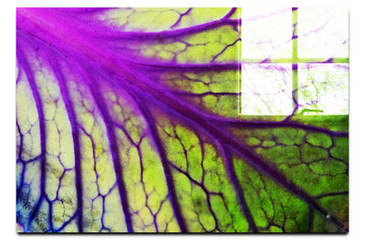 Violet Labyrinth - Acrylic Print - Flowers & Plants Category