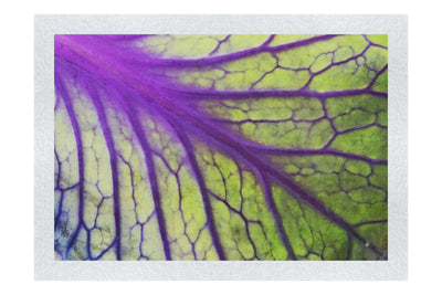 Violet Labyrinth - Fine Art Print - Flowers & Plants Category
