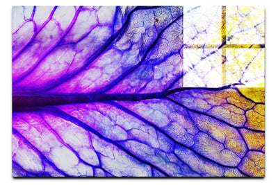 Veins of Violet - Acrylic Print - Flowers & Plants Category