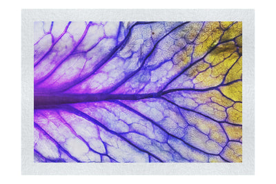 Veins of Violet - Fine Art Print - Flowers & Plants Category
