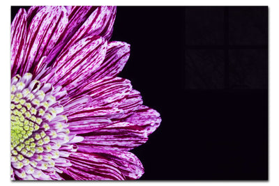 Radiant Petals - Acrylic Print - Flowers & Plants Category