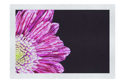 Radiant Petals - Fine Art Print - Flowers & Plants Category