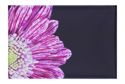 Radiant Petals - Canvas Print - Flowers & Plants Category