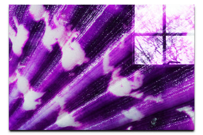 Cerise Calico Shell Enhanced - Acrylic Print - Aquatic Art Category