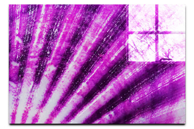 Mardi Gras Calico Shell - Acrylic Print - Aquatic Art Category
