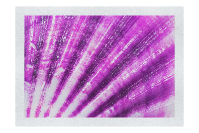 Mardi Gras Calico Shell - Fine Art Print - Aquatic Art Category