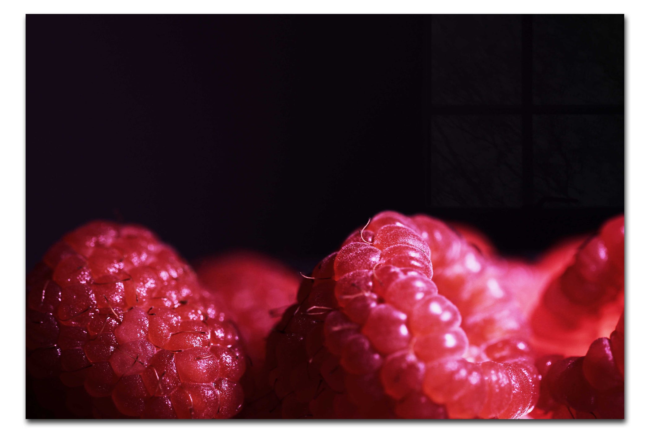 Berries in Shadow - Acrylic Print - Food Art Category