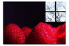 Berries in Shadow - Acrylic Print - Food Art Category