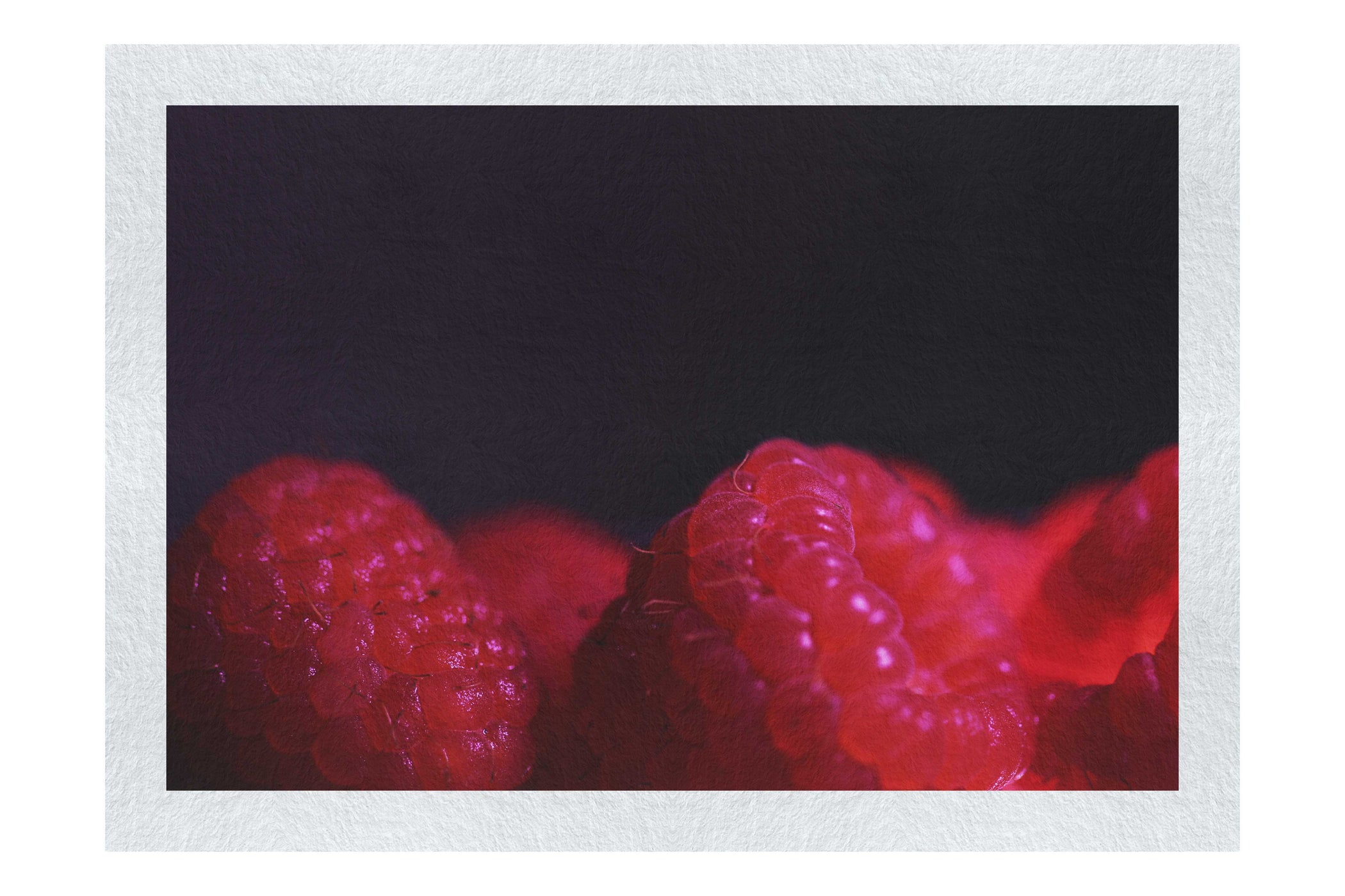 Berries in shadow - Fine Art Print - Food Art Category