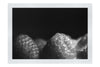 Berries in shadow - Monochrome Fine Art Print - Food Art Category