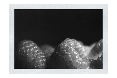 Berries in shadow - Monochrome Fine Art Print - Food Art Category