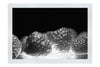 Crimson Harvest - Monochrome Fine Art Print - Food Art Category