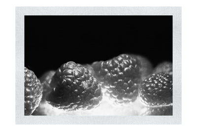 Crimson Harvest - Monochrome Fine Art Print - Food Art Category