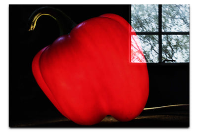 Crimson Capsicum - Acrylic Print - Food Art Category