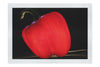 Crimson Capsicum - Fine Art Print - Food Art Category