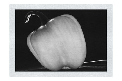 Crimson Capsicum - Monochrome Fine Art Print - Food Art Category