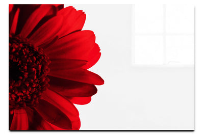 Red Petal Flower - Acrylic Print - Flowers & Plants Category