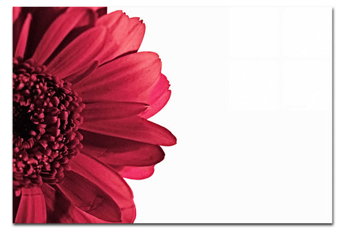 Red Petal Flower - Acrylic Print - Flowers & Plants Category