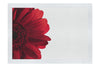 Red Petal Flower - Fine Art Print - Flowers & Plants Category