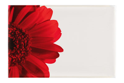 Red Petal Flower - Canvas Print - Flowers & Plants Category