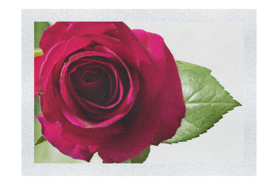 Red Rose - Fine Art Print - Flowers & Plants Category