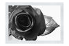 Red Rose - Monochrome Fine Art Print - Flowers & Plants Category