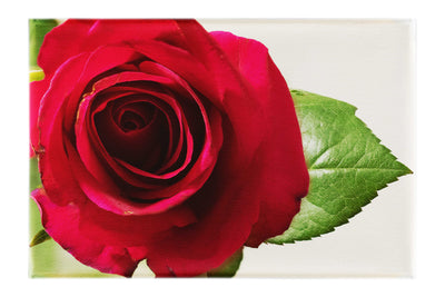 Red Rose - Canvas Print - Flowers & Plants Category - Flowers & Plants Category